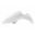 Rear Mudguard White
