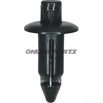 Push Rivet10 Pieces