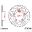 Rear Sprocket 43 Tooth Pitch 520Inner Diameter 100 Bolt Spacing 124