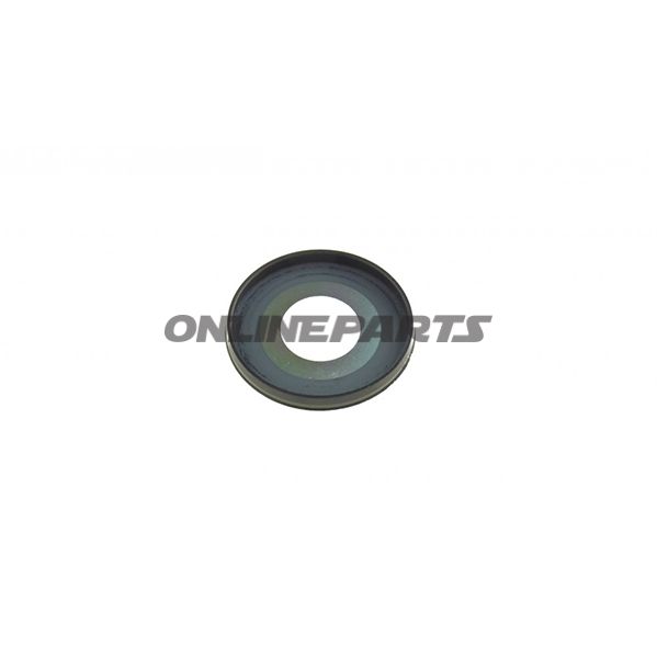 Sealing Ring (Orig Spare Part)