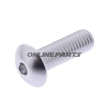 Dome Head Bolt Proboltm8x1.25Mm 25Mm Alu Silver