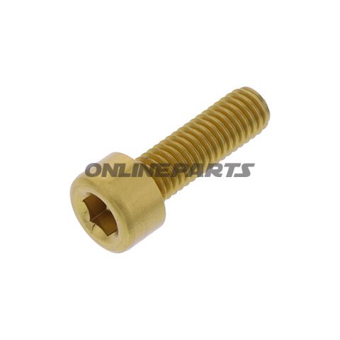Hex Socket Cap Screw Proboltm5x0.8Mm 16Mm Alu Gold
