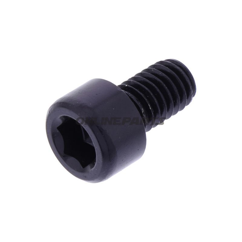 Hex Socket Cap Screw Proboltm6x1.00Mm 10Mm Alu Black
