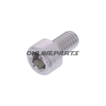 Hex Socket Cap Screw Proboltm6x1.00Mm 10Mm Alu Silver