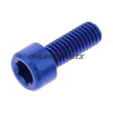 Hex Socket Cap Screw Proboltm6x1.00Mm 16Mm Alu Blue