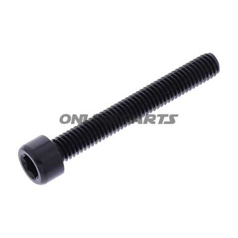 Hex Socket Cap Screw Proboltm6x1.00Mm 45Mm Alu Black