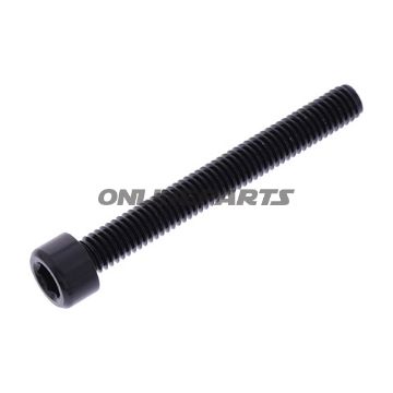 Hex Socket Cap Screw Proboltm6x1.00Mm 50Mm Alu Black