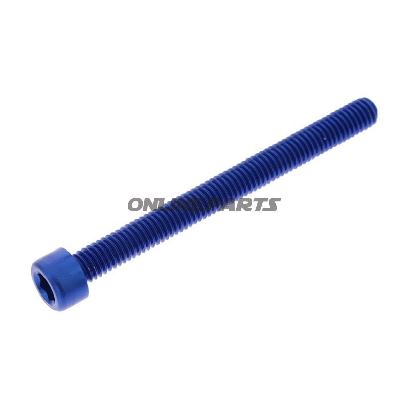Hex Socket Cap Screw Proboltm6x1.00Mm 65Mm Alu Blue