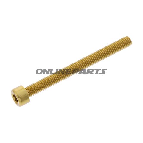 Hex Socket Cap Screw Proboltm6x1.00Mm 65Mm Alu Gold