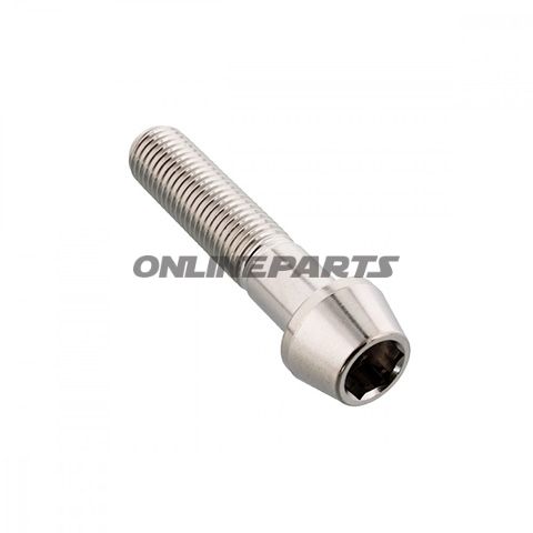 Cone Head Bolt Proboltm10x1.25Mm 45Mm Stainless Steel A4