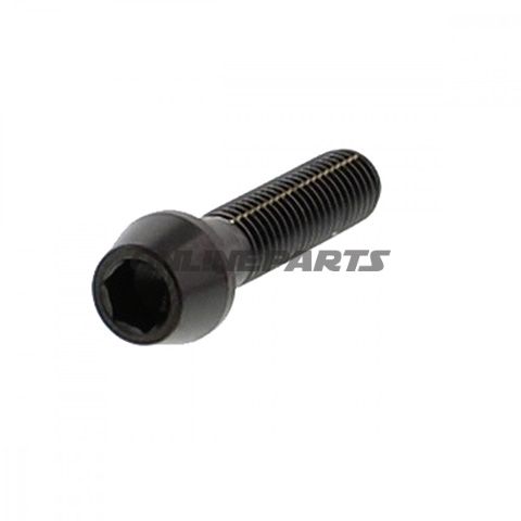 Cone Head Bolt Proboltm8x1.25Mm 30Mm Stainless Steel A4 Black