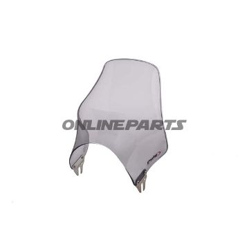 Windshield Naked Puigsmoke Grey
