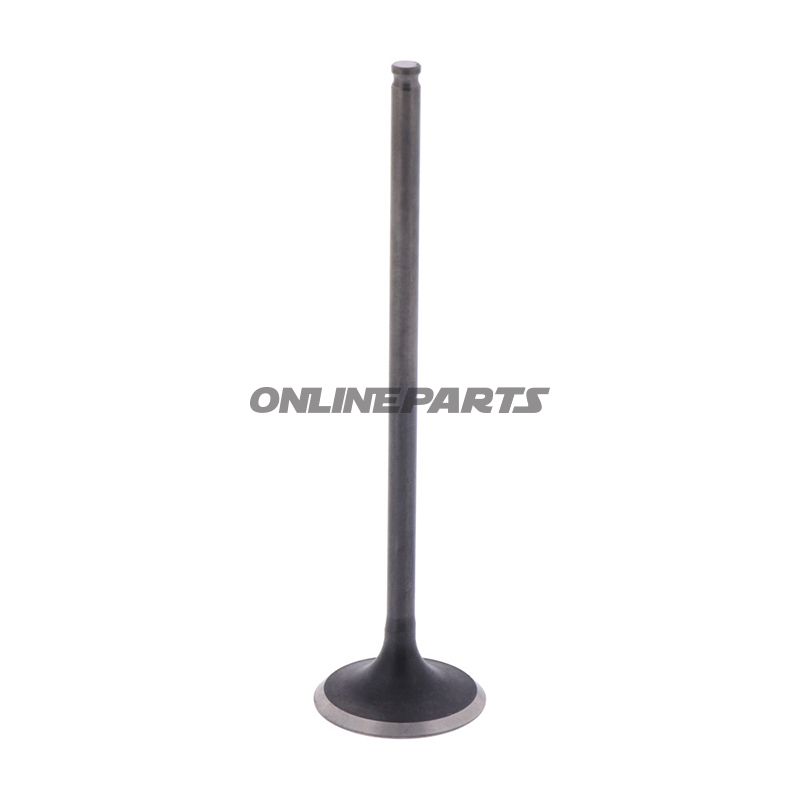Outlet Valve (Orig Spare Part)