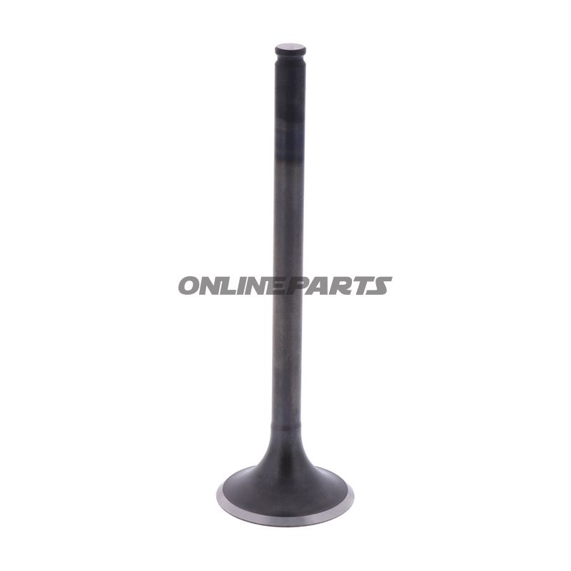 Intake Valve (Orig Spare Part)