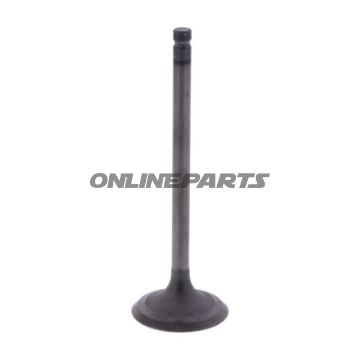 Intake Valve (Orig Spare Part)