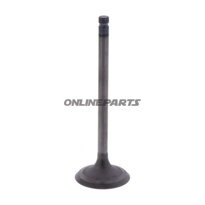 Intake Valve (Orig Spare Part)