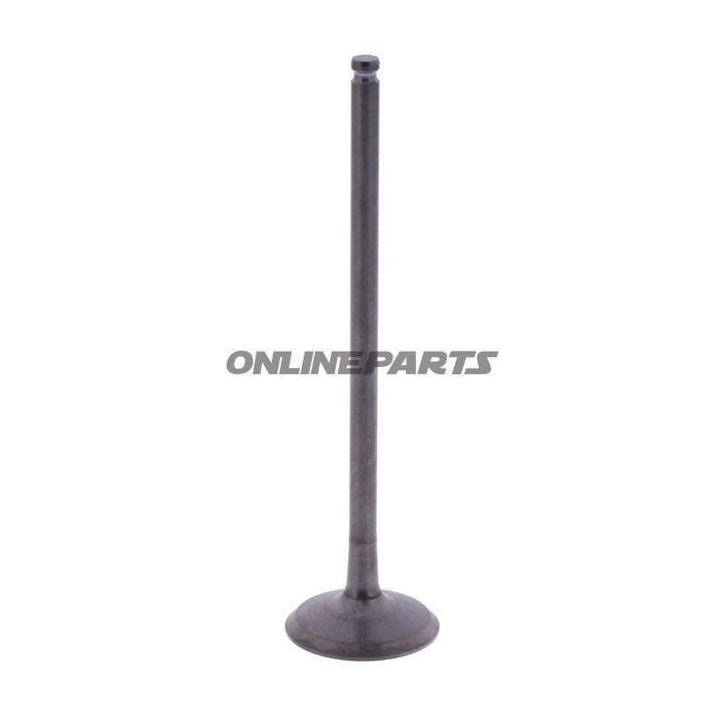 Outlet Valve (Orig Spare Part)
