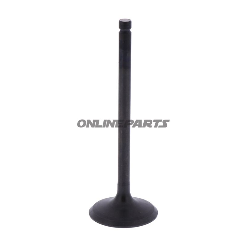 Intake Valve (Orig Spare Part)
