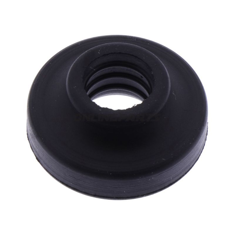 Rubber Bush Athena