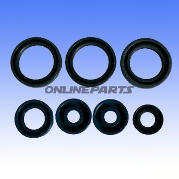 Engine Oil Seal Kit