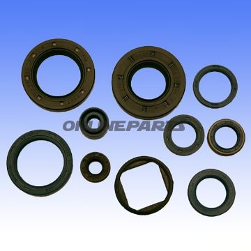 Engine Oil Seal Kit