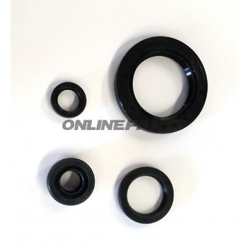Engine Oil Seal Kit
