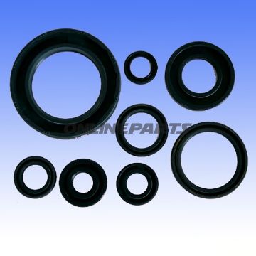 Engine Oil Seal Kit
