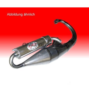 Handmade Silencer Tt Leo Vince