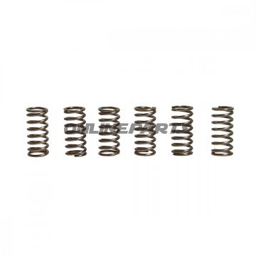 Clutch Spring Kit (6)Ebc