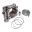 Cylinder Kit 290Ccm Athenabig Bore Cylinder Kit