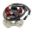 Stator