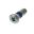 Brake Disc Screw (Orig Spare Part)M10 X 1.25X30 Mm
