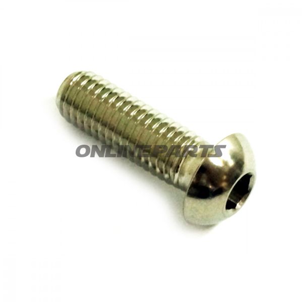 Brake Disc Screw Proboltm8x1.25Mm 25Mm Stainless Steel A4