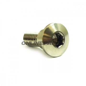 Brake Disc Screw Proboltm8x1.25Mm 22Mm Stainless Steel A4