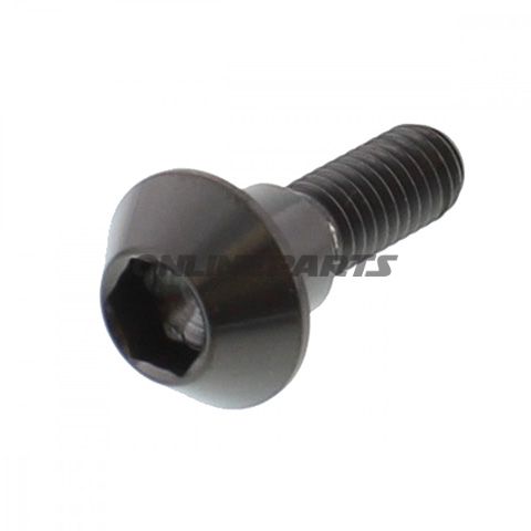 Brake Disc Screw Proboltm6x1.00Mm 20Mm Titan Black