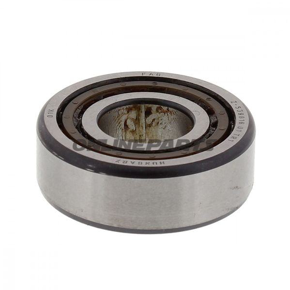 Swingarm Roller Bearing17x40x13.25 Mm