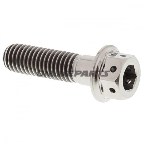 Dualdrive Bolt Proboltm8x1.25 30Mm Titanium