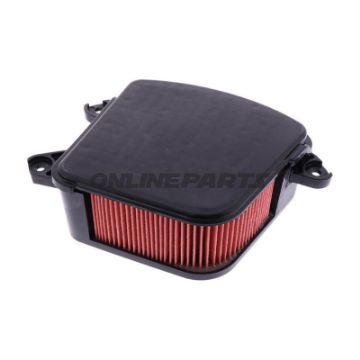 Air Filter (Orig Spare Part)