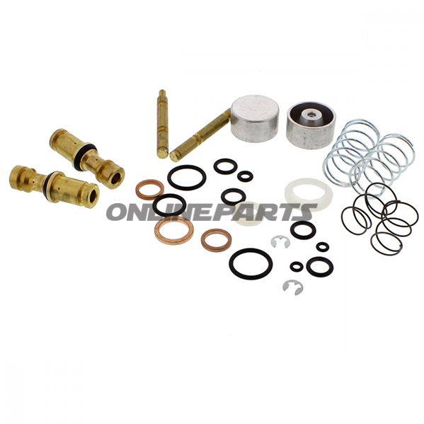 Seal Kit Steuerung Complete.Blitz Gwskt