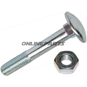 Coach Bolt & Nut M6x30 Din603pack 100 Altn 4791885