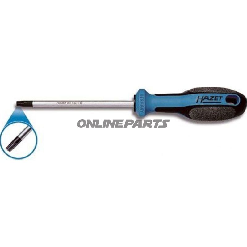 Torx Screwdriver.T45 Loch