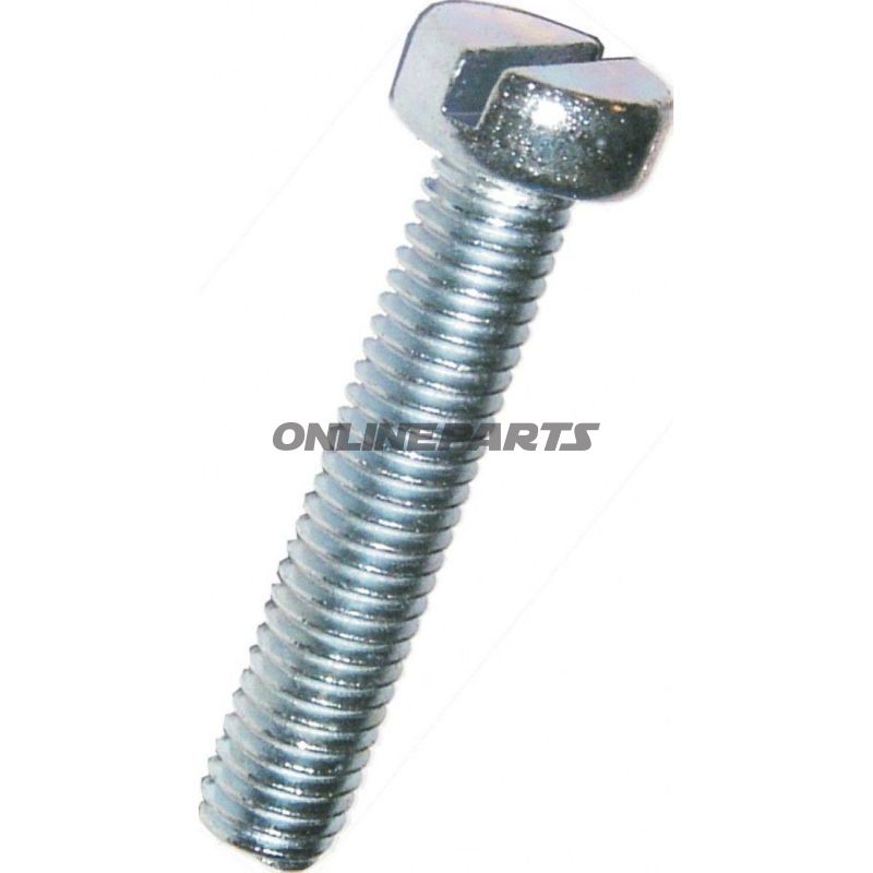 Slotted Screw M4x10 Din84 Cheese Headpack 100 Pieces