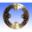 Brake Disc Ebc