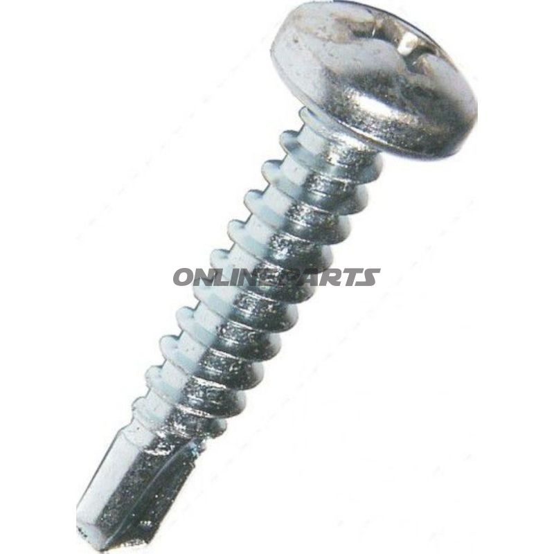 Self Drill Screws 4.2X13 Plated 7504 M100 Pieces