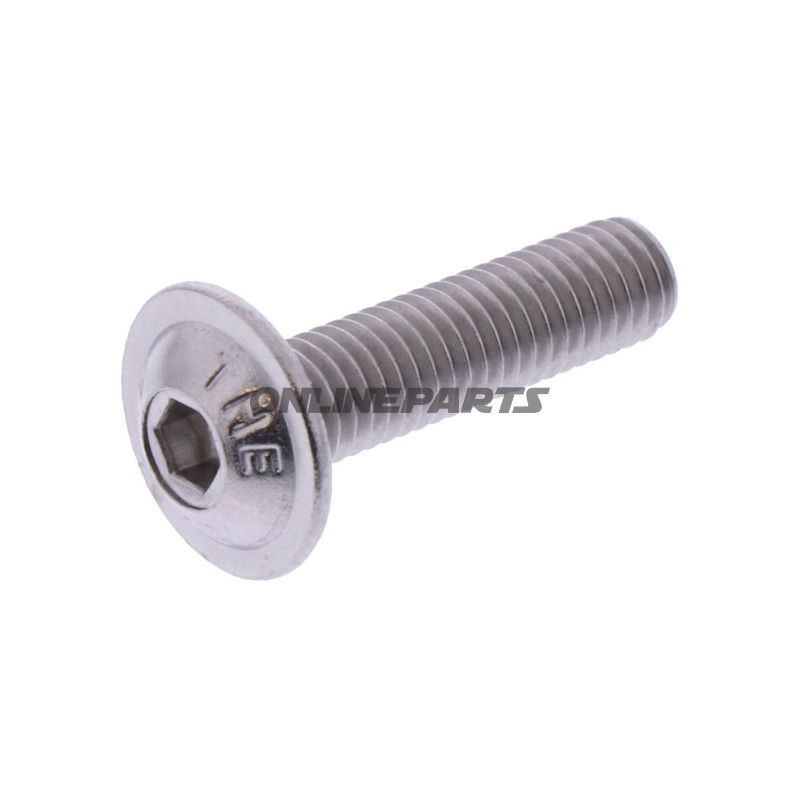Skrue V2A M5X20 mm