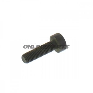 Skrue M7X1.0X25 mm