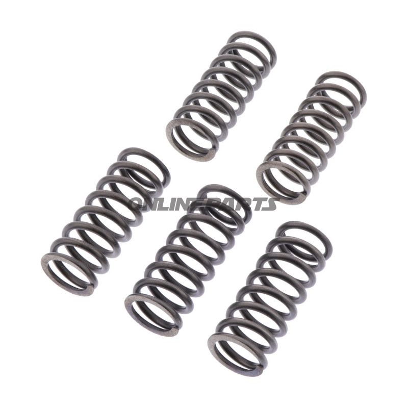 Koblingsfjedre forstærker EBC indhold 6 stykker