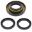 Differentiel Reparationssæt Bag All Balls Racing
