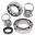 Differentiel Reparationssæt Bag All Balls Racing