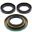 Differentiel Reparationssæt Bag All Balls Racing